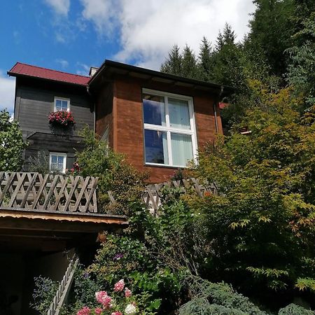 Waldhaus Klein-Veitsch, Auszeit Im Gruenen Apartment Niederaigen Exterior photo
